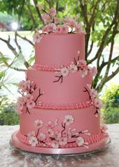 Sugar Loft Cake Shoppe - Osage Beach, MO