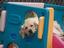 Provided by Grooming Unlimited Pet Center, North Reading 