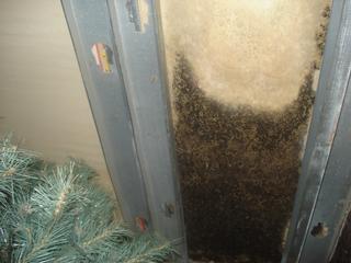 Environmental Resources LLC - Pembroke, MA