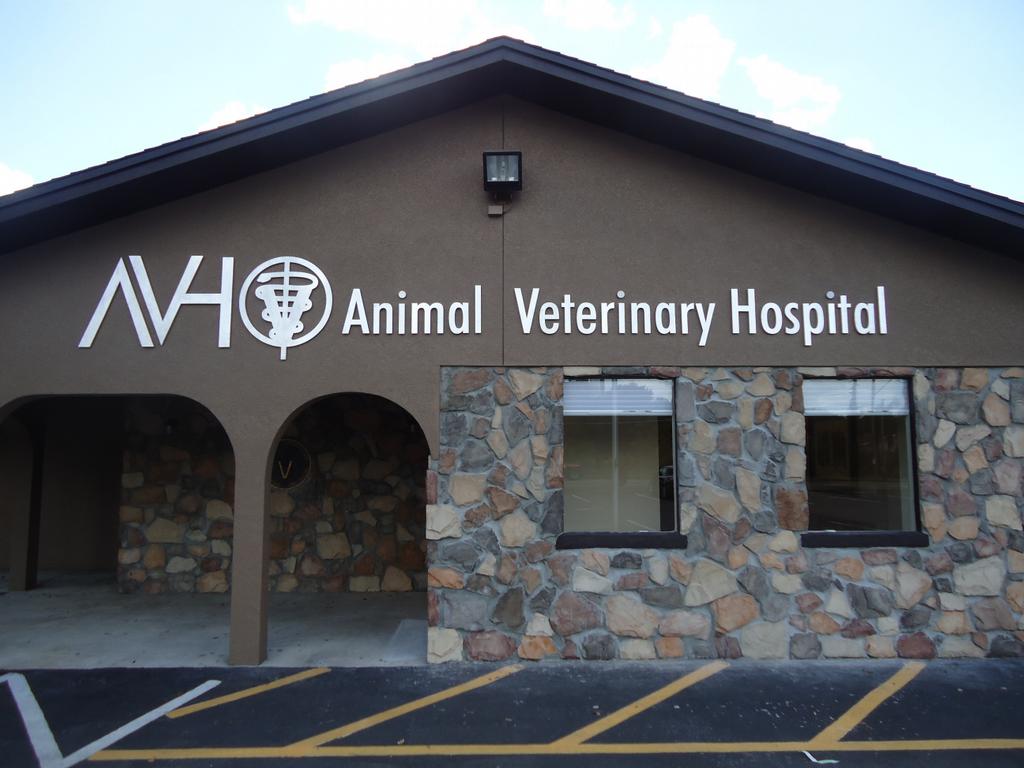 Animal Veterinary Hospital of Orlando Orlando FL 32809 4078557387