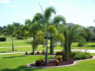 Tri-County Property Management - De Leon Springs, FL