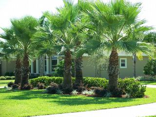 Tri-County Property Management - De Leon Springs, FL