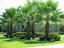 Provided by Tri Country Landscape and Nursery, De Leon Springs 