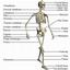 Alternative Healthcare Associates LLC