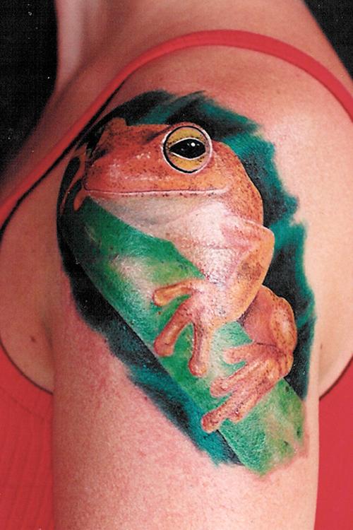 tree frog tattoo. Tree frog