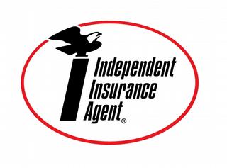 Big I logo.JPG