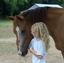 Rocky River Stables