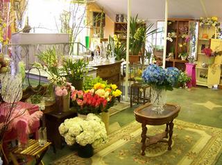 Alan's Rumson Florist - Rumson, NJ