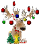 Freds Christmas Trees