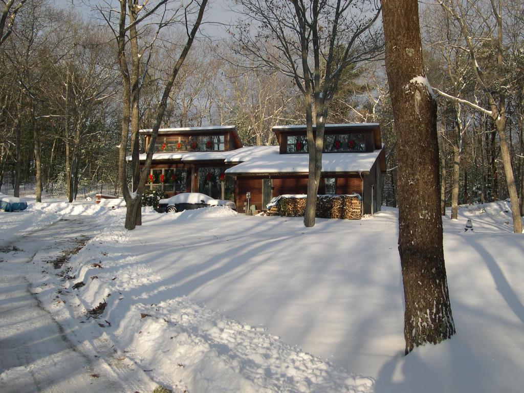 freds christmas trees clifton nj 07013 973 783 7588 freds christmas trees clifton nj 07013 973 783 7588