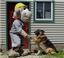 Provided by Carefree Kennels, Berlin Center 