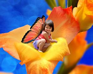 Spectralight Photography - North Ridgeville, OH