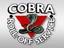 Cobra Roll-Off Service
