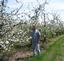 Provided by Bauman Orchards Inc, Rittman 