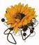 Provided by Dandelions Flowers & Gifts LLC, Eugene 