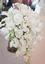 Provided by Dandelions Flowers & Gifts LLC, Eugene 