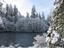 Provided by McKenzie River Inn B & B and Cabins, Vida 