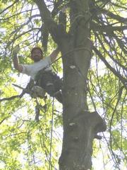 Little Joes Tree Service - Fairview, OR