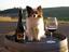 Provided by Cherry Hill Winery, Rickreall 