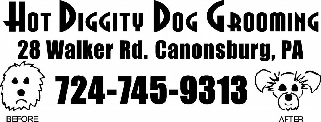 Hot Diggity Dog Grooming Canonsburg Pa Hot Diggity Dog Grooming Canonsburg Pa