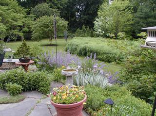 Naturescapes - Paoli, PA