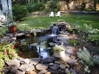 Naturescapes - Paoli, PA