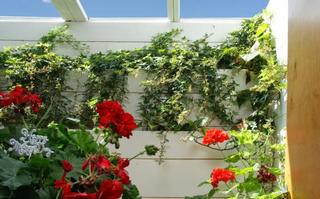 Vinyl Window Wells  by Northeast Window Incorporated Pittston 18640 