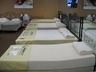 tempurpedicbeds.jpg by Mattress Fair Whitehall 18052 