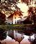 Provided by Golden Pheasant Inn, Erwinna 