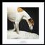 Provided by Willow Street Pictures, Reading 