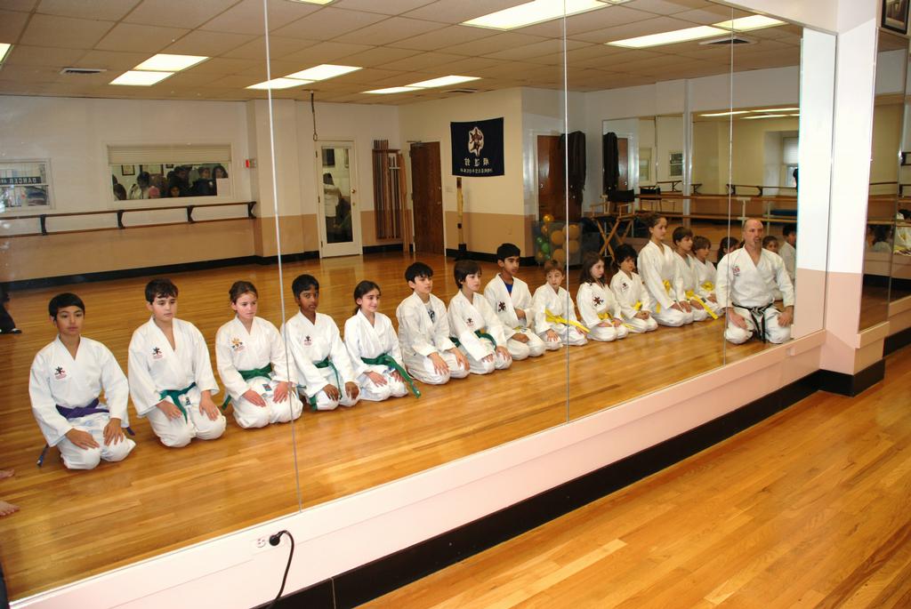 Pictures for Goju Ryu School of KarateChappaqua NY in Chappaqua, NY 10514