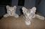 Provided by McCarthys Wildlife Sanctuary, West Palm Beach 