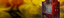 Plastic Media Blasting