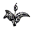 The Plant Lady Inc