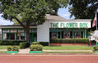Flower Box - Tyler, TX