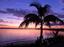 Provided by Mahnke's Orthotics Prosthetics, OAKLAND PARK 