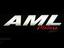 A M L Motors