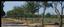 Wagner Tree Farm in Texas