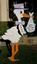 Storks In Cowtown