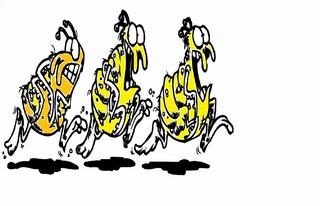 Certi-Tech Pest & Termite Inc - The Colony, TX