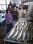 Provided by Striper Express Fishing Guide Service of Lake Texoma, Pottsboro 