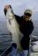 Provided by Striper Express Fishing Guide Service of Lake Texoma, Pottsboro 