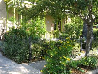 A Yellow Rose Bed & Breakfast