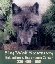 Shy Wolf Sanctuary Education and...