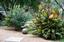 Provided by Perfect Lawns and Land Works of Austin, Austin 