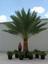 Vic's Landscaping & Sod, Inc.