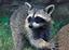 image for the product advertised