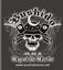 Provided by Bushido Mixed Martial Arts, PORTSMOUTH 