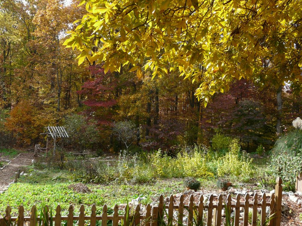Photos from Businesses in Gum Spring, VA