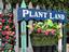 Provided by Plant Land, Milwaukee 